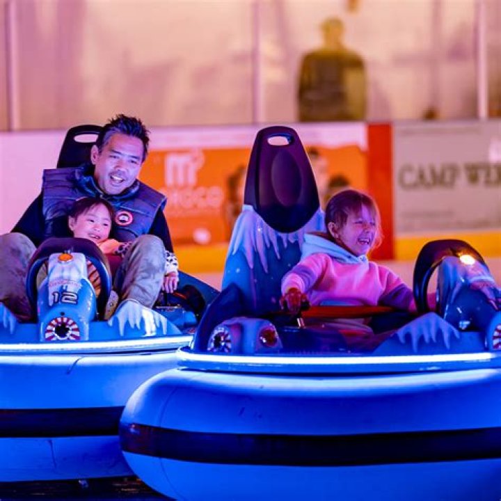 Unveiling the Thrills and Secrets of Boca Ice Bumper Cars