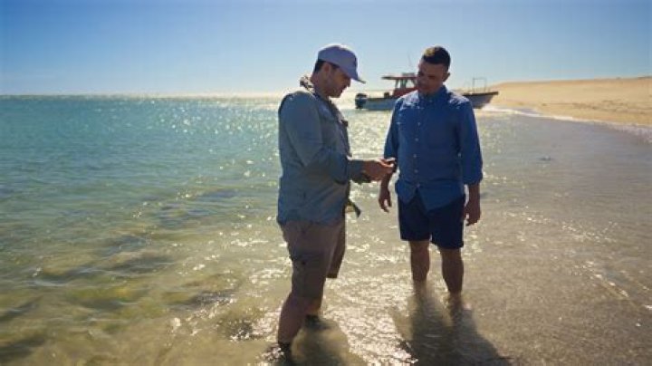 Unveiling Tom Sandoval's Heritage: Discoveries And Insights
